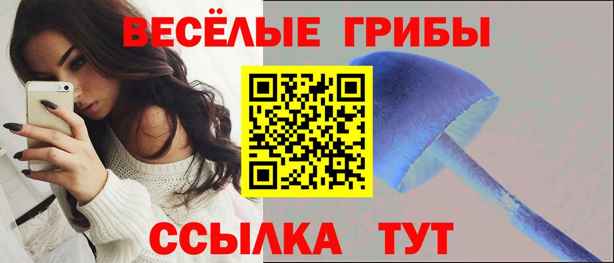 Новоалтайск  Псилоцибиновые грибы Psilocybine cubensis  Вход с VPN 